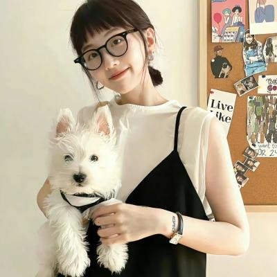 津门飞鹰